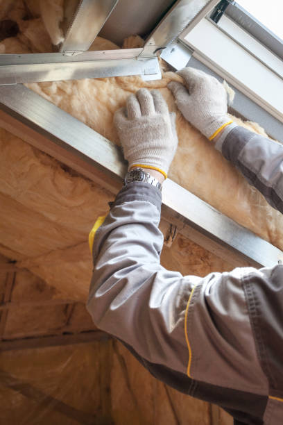 Best Best Insulation Companies  in Sterling, VA