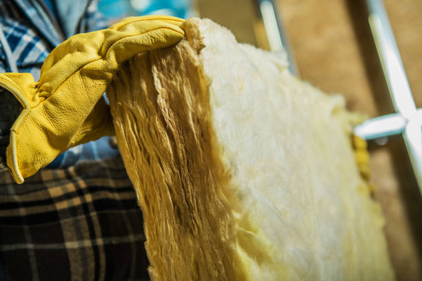 Best Insulation Inspection Services  in Sterling, VA